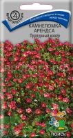Камнеломка Арендса Пурпурный ковёр Камнеломка Арендса Пурпурный ковёр