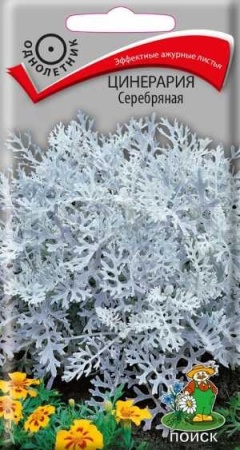 Цинерария Серебряная 0,2г Цинерария Серебряная 0,2г