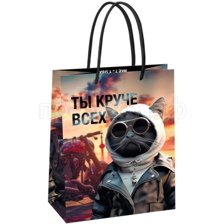 Пакет подарочный 18*23*10см "Cool guy" глянцевая ламинация MESHU/Рельеф Пакет подарочный 18*23*10см "Cool guy" глянцевая ламинация MESHU/Рельеф