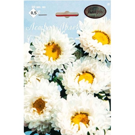 Астра Арлекино Белая 20*1 Астра Арлекино Белая 20*1