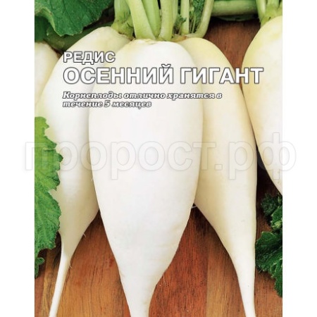 Сембат Редис Осенний гигант 10г XXXL