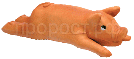 Игрушка для собак крупных пород Свинка 40см/RJP0055/С2922