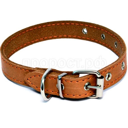Ошейник кожа 35мм щенячий 36-64см/00335091/Каскад Ошейник кожа 35мм щенячий 36-64см/00335091/Каскад