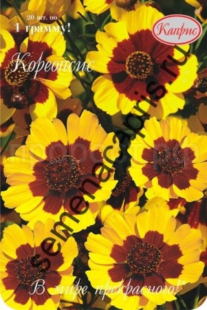 Кореопсис Летний ветерок однолетний  Кореопсис Летний ветерок однолетний