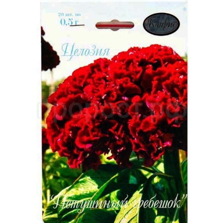 Целозия Петушиный гребешок 20*1  Целозия Петушиный гребешок 20*1