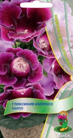 Глоксиния Импресс Парпл 5шт Глоксиния Импресс Парпл 5шт
