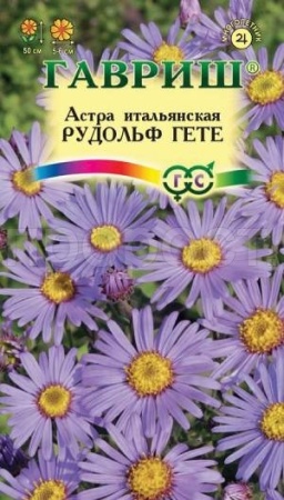 Астра итальянская  Рудольф Гете 0,05г Астра итальянская  Рудольф Гете 0,05г