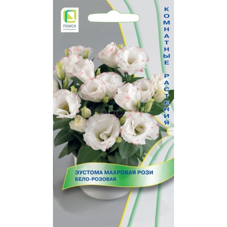 Эустома махровая Рози Бело-розовая 5шт Эустома махровая Рози Бело-розовая 5шт