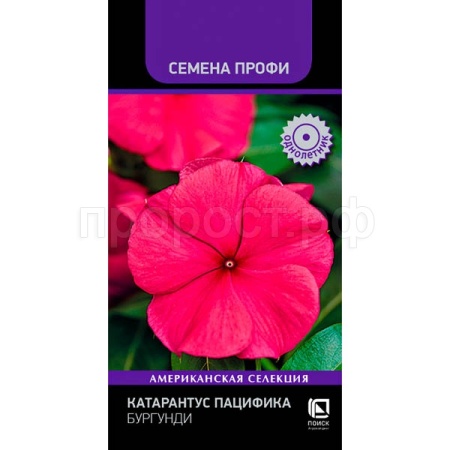 Катарантус Пацифика Бургунди 10шт Катарантус Пацифика Бургунди 10шт