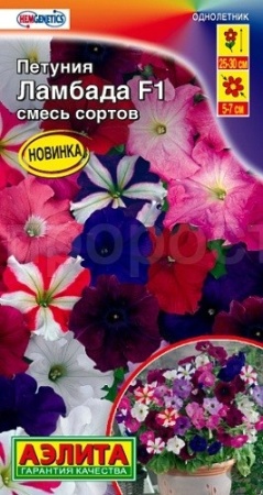 Петуния Ламбада F1  многоцветковая смесь окрасок 7шт  Петуния Ламбада F1  многоцветковая смесь окрасок 7шт