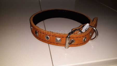 Ошейник кожа 25мм c украшением на фетре 38-40см/40755 Ошейник кожа 25мм c украшением на фетре 38-40см/40755
