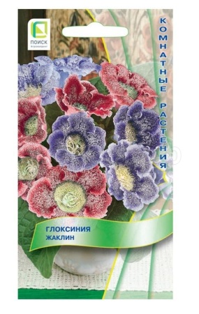 Глоксиния Жаклин 5шт