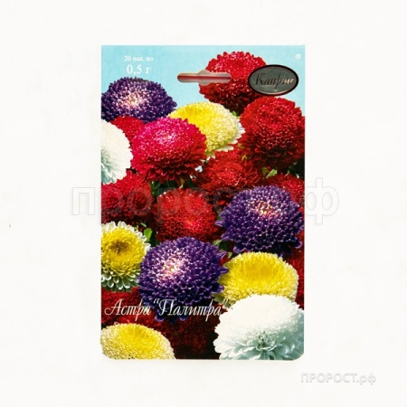 Астра смесь Помпонная Палитра 20*1,5  Астра смесь Помпонная Палитра 20*1,5