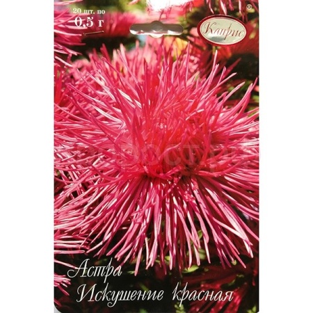 Астра Искушение красная 20*1 Астра Искушение красная 20*1