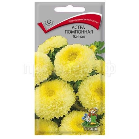 Астра помпонная Желтая 0,3г  Астра помпонная Желтая 0,3г