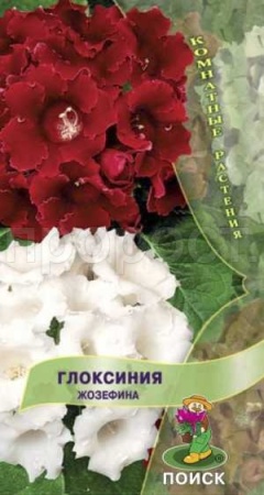 Глоксиния Жозефина 5шт Глоксиния Жозефина 5шт