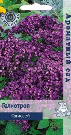 Гелиотроп Одиссей 0,03г Гелиотроп Одиссей 0,03г