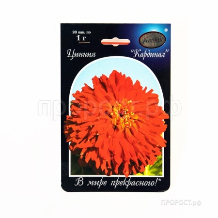 Цинния Кардинал 20*1 Цинния Кардинал 20*1