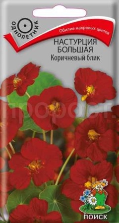 Настурция Коричневый блик большая 1г Настурция Коричневый блик большая 1г