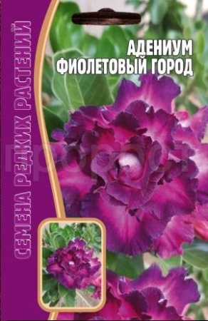 Адениум Фиолетовый Город 3 шт Адениум Фиолетовый Город 3 шт