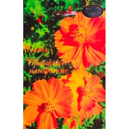 Космея Оранжевое настроение 20*0,5 Космея Оранжевое настроение 20*0,5