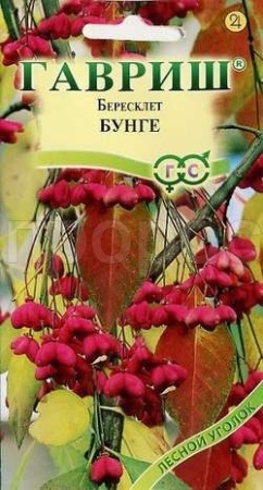 Бересклет Бунге 0,2г  Бересклет Бунге 0,2г