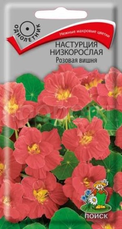 Настурция Розовая вишня 1г Настурция Розовая вишня 1г