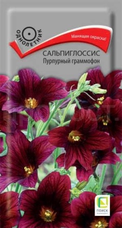 Сальпиглоссис Пурпурный граммофон 0,01г Сальпиглоссис Пурпурный граммофон 0,01г