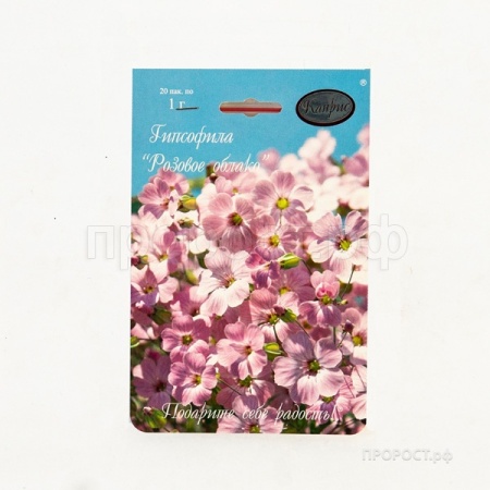 Гипсофила розовая Розовое облако 20*1  Гипсофила розовая Розовое облако 20*1