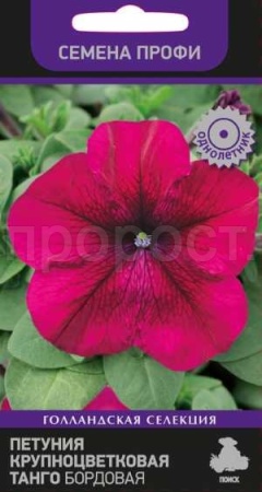 Петуния крупноцветковая Танго Бордовая 15шт Петуния крупноцветковая Танго Бордовая 15шт
