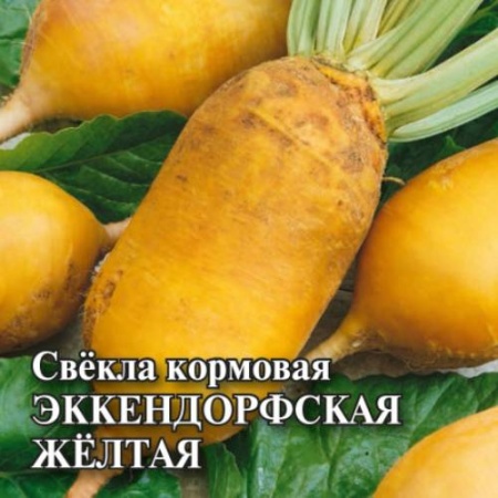 Свекла кормовая Эккендорфская желтая 1кг