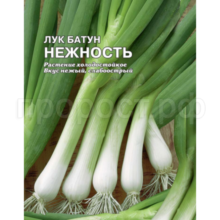 Сембат XXXL Лук батун Нежность 5г