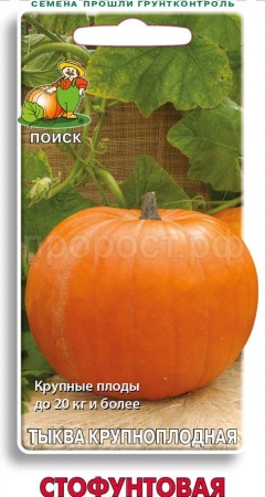 Тыква крупноплодная Стофунтовая 10шт 