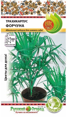 Пальма Трахикарпус Форчуна 5шт Пальма Трахикарпус Форчуна 5шт