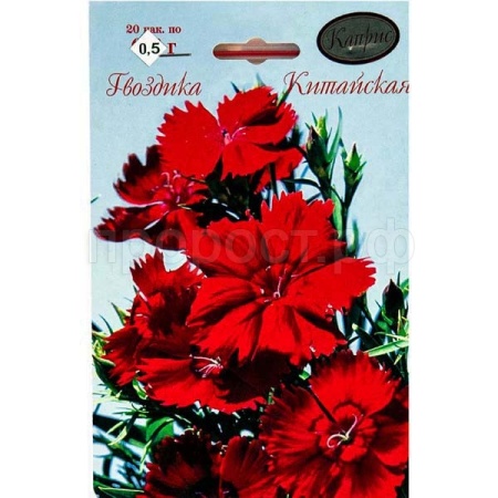 Гвоздика Китайская Танец гейши 20*0,5  Гвоздика Китайская Танец гейши 20*0,5