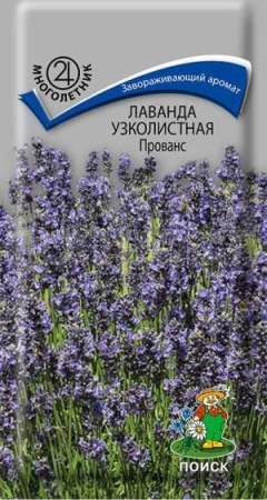 Лаванда узколистная Прованс 0,1г  Лаванда узколистная Прованс 0,1г