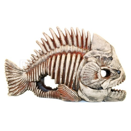 Грот Deksi Скелет рыбы 903 33*14*22/250833