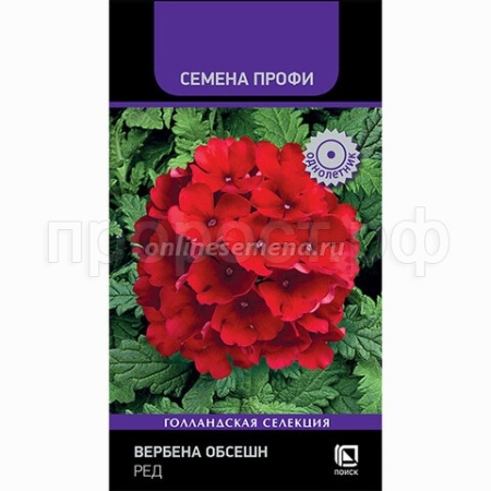 Вербена Обсешн Ред 10шт  Вербена Обсешн Ред 10шт