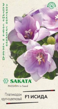 Платикодон (Ширококолокольчик крупноцветковый) Исида F1, крупноцветковый 4 шт Платикодон (Ширококолокольчик крупноцветковый) Исида F1, крупноцветковый 4 шт