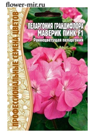 Пеларгония грандифлора Маверик Пинк F1 3шт Пеларгония грандифлора Маверик Пинк F1 3шт