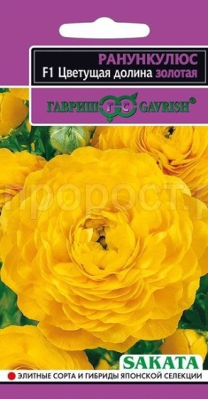 Лютик (Ранункулюс) Цветущая долина золотая F1 3шт  Лютик (Ранункулюс) Цветущая долина золотая F1 3шт