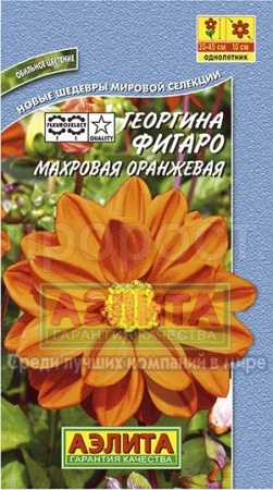 Георгина Фигаро Оранжевая махровая 7шт  Георгина Фигаро Оранжевая махровая 7шт