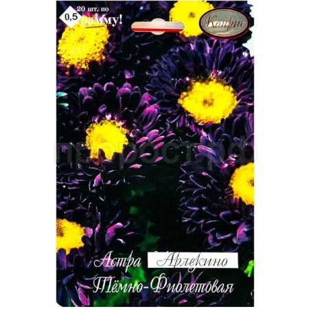 Астра Арлекино Фиолетовая 20*1 Астра Арлекино Фиолетовая 20*1