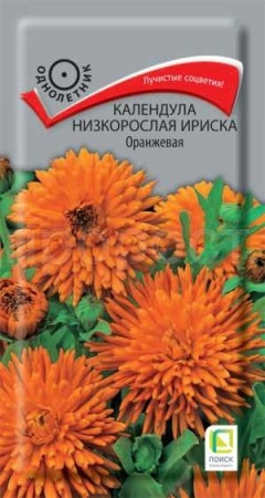 Календула Ириска Оранжевая 10 шт Календула Ириска Оранжевая 10 шт