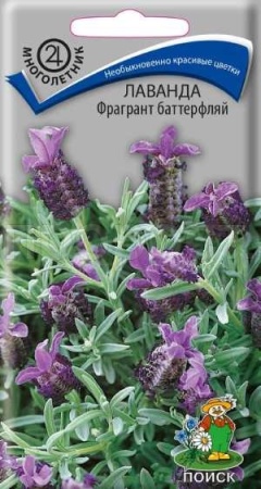 Лаванда Фрагрант баттерфляй 20шт Лаванда Фрагрант баттерфляй 20шт