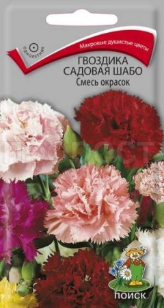 Гвоздика садовая Шабо Смесь 0,3г Гвоздика садовая Шабо Смесь 0,3г