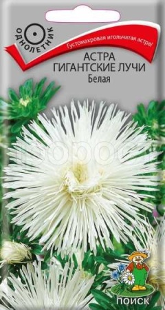 Астра Гигантские лучи Белая 0,3г  Астра Гигантские лучи Белая 0,3г