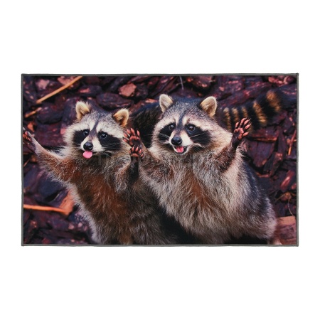 Коврик придверный 50*80см Velur "Веселые еноты" влаговпитывающий 24242/10шт/Профит