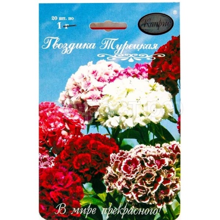 Гвоздика Турецкая смесь Восточный узор 20*0,7  Гвоздика Турецкая смесь Восточный узор 20*0,7