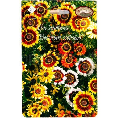 Хризантема Килеватая 20*0,5  Хризантема Килеватая 20*0,5